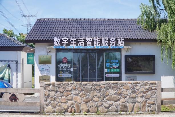 图片6