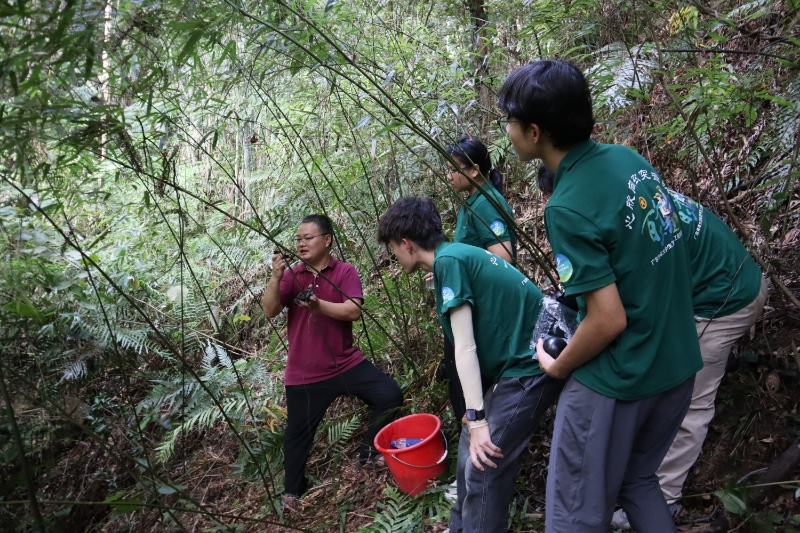 图1 老师示范林间高空压条技术要点 图1 老师示范林间高空压条技术要点