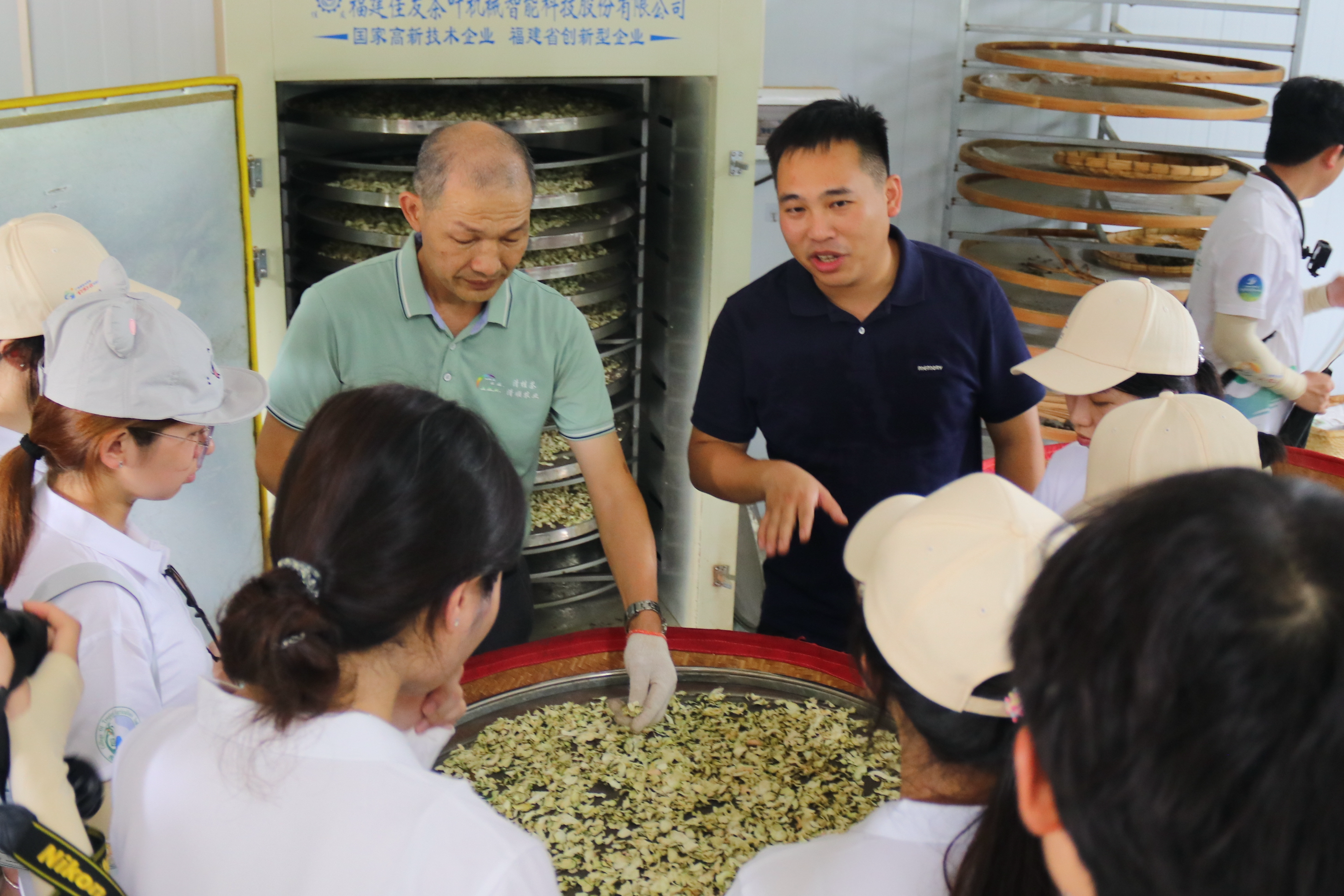 图1 师生体验清桂茶制作工艺