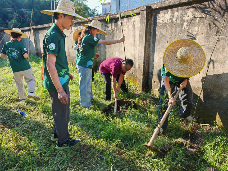 图3 师生们整株移植小甜笋 图3 师生们整株移植小甜笋