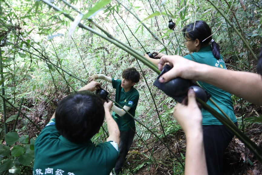 图2 队员们开展高空压条技术操作 图2 队员们开展高空压条技术操作