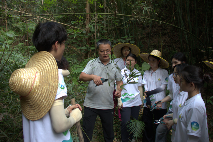 图4 老师示范扦插技术要点 图4 老师示范扦插技术要点