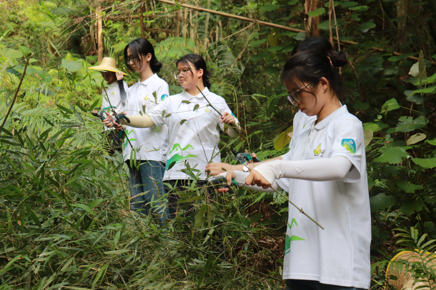 图5 队员们精心选取插穗源 图5 队员们精心选取插穗源