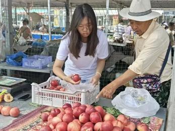 新闻稿图片8