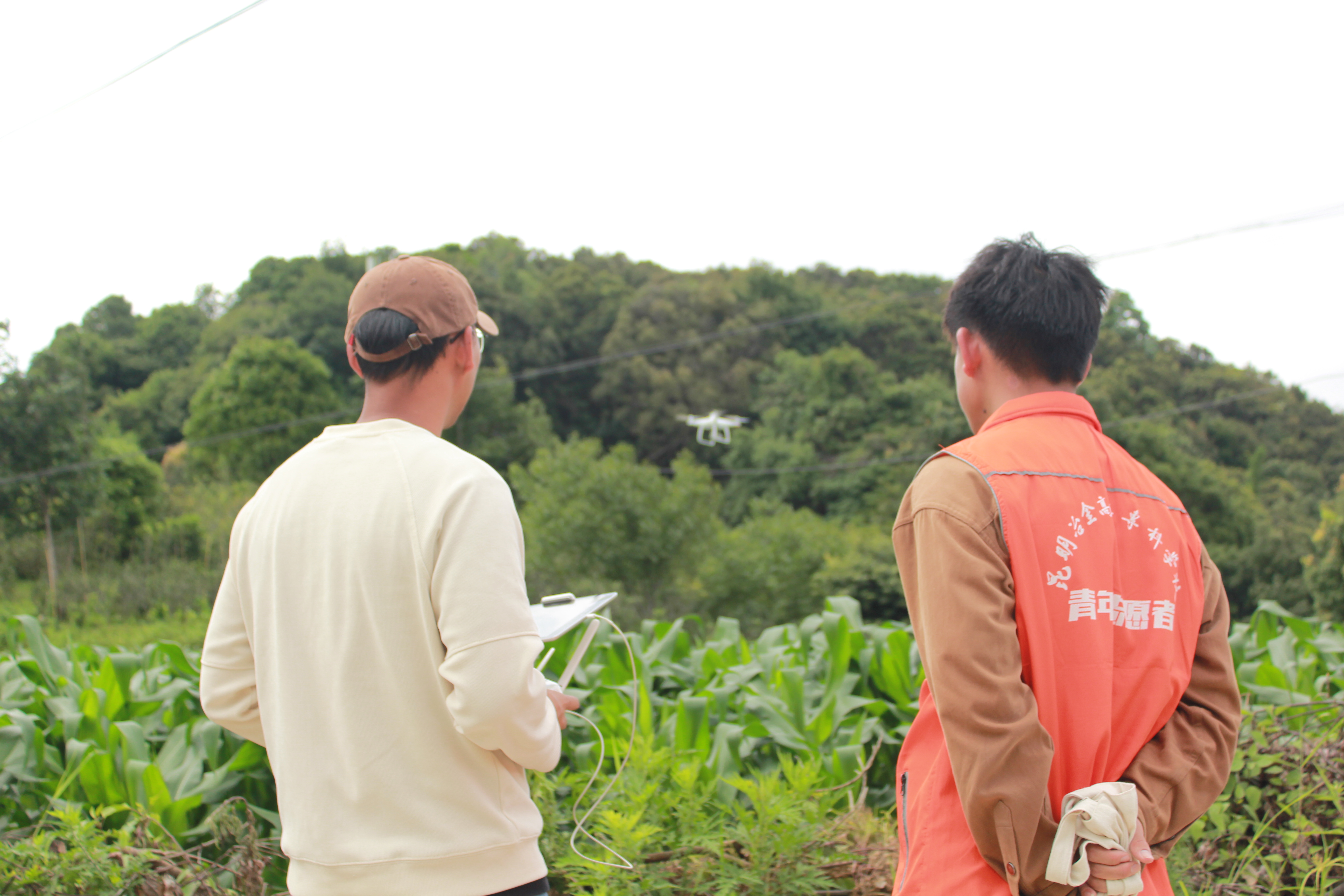 微信图片_20250727170459