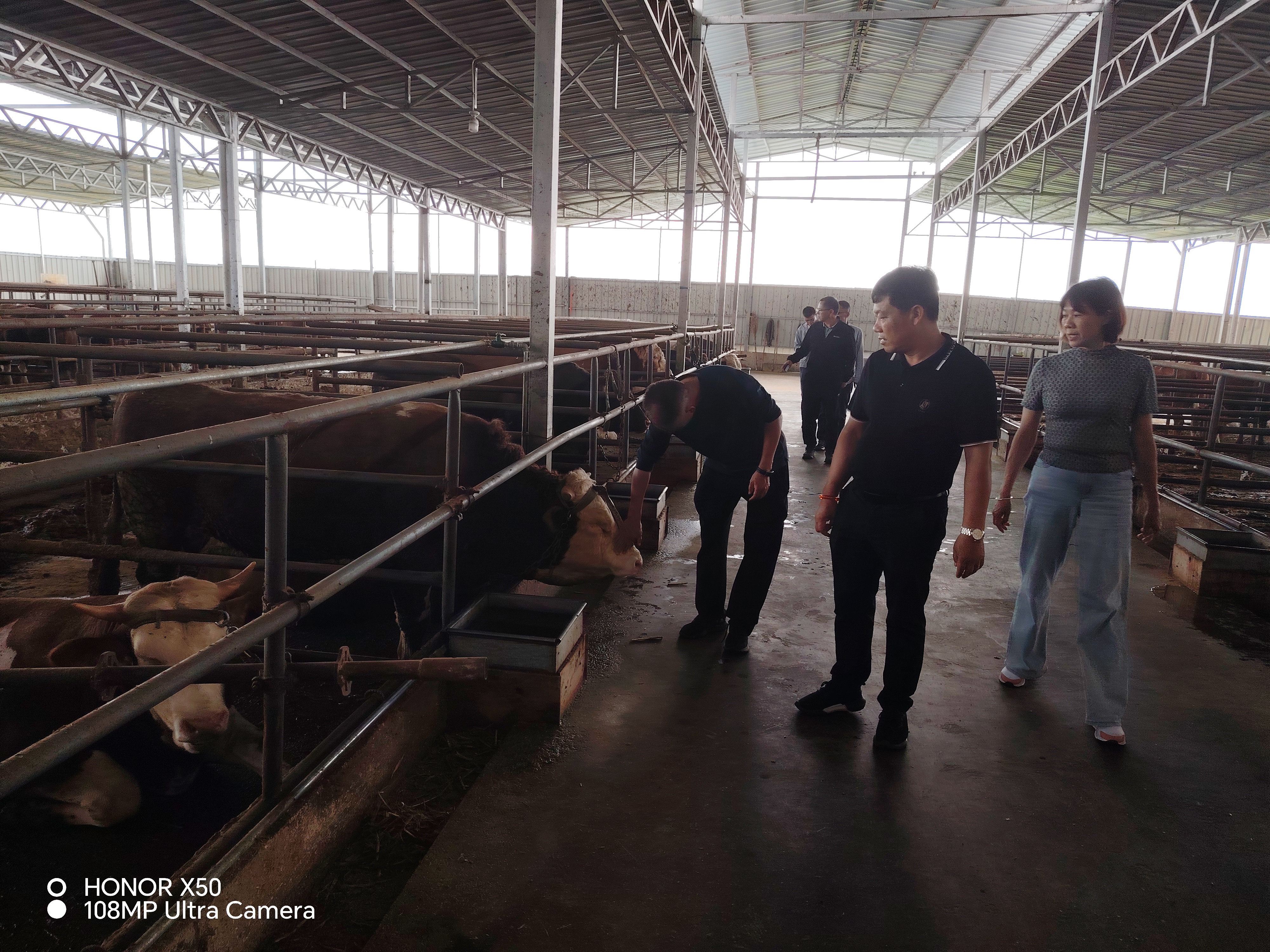 实地调研（一）