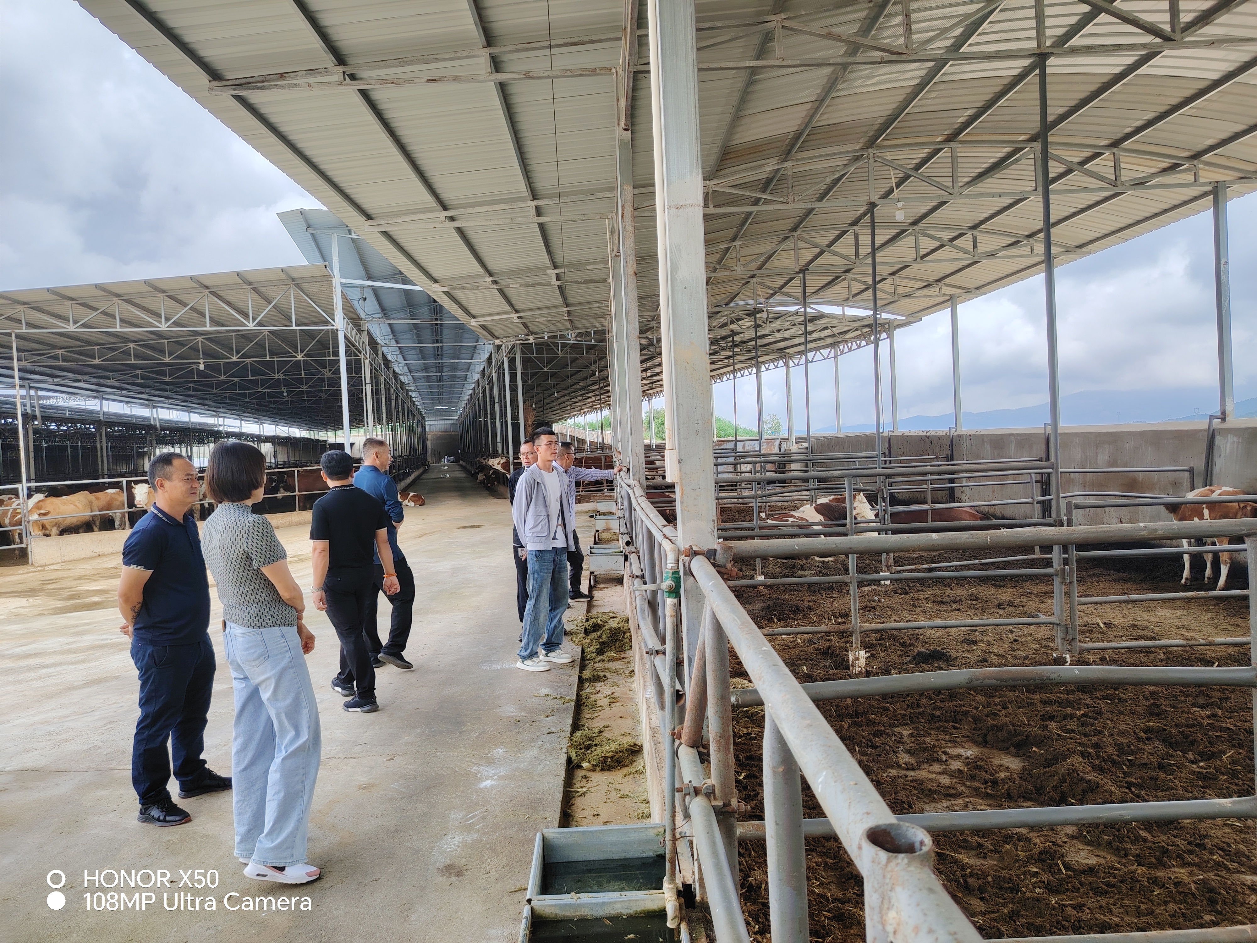 实地调研（二）