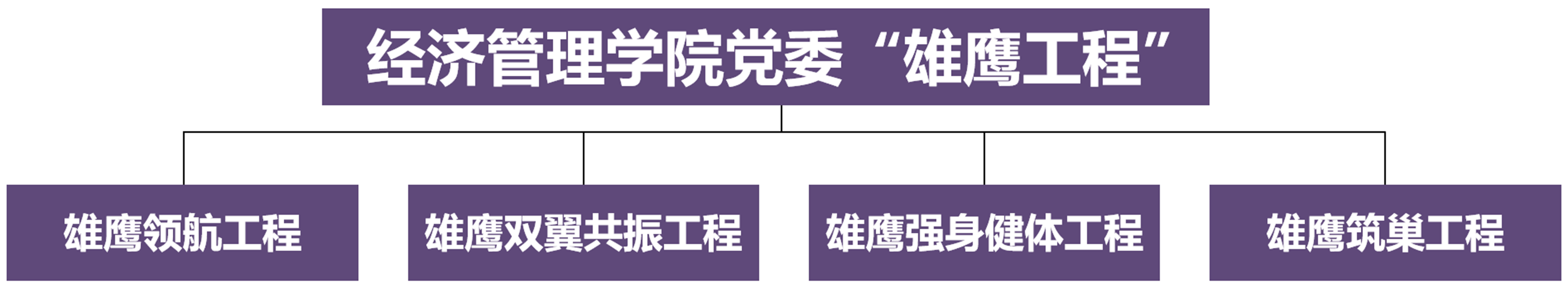 雄鹰工程