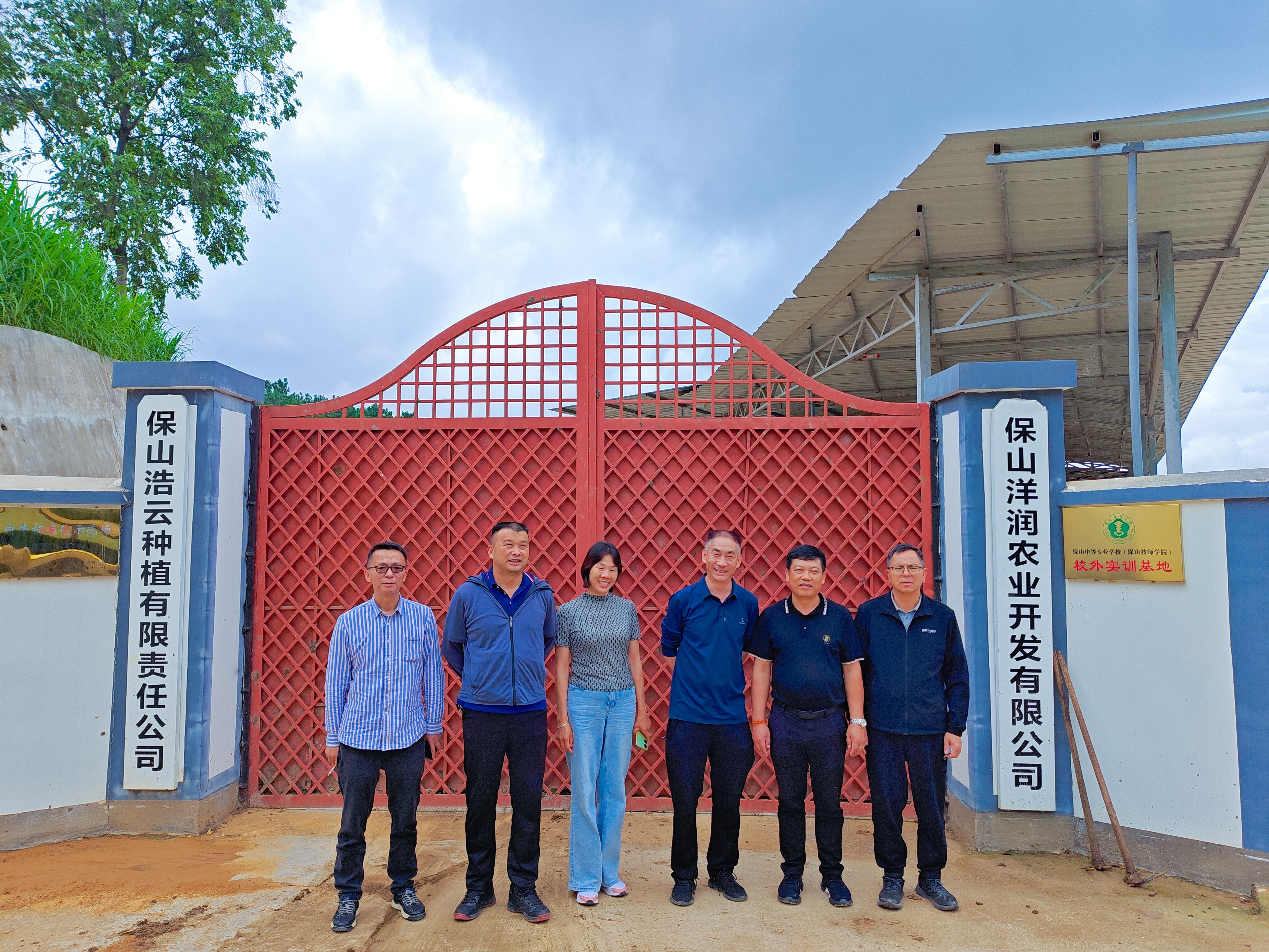 实地调研（三）