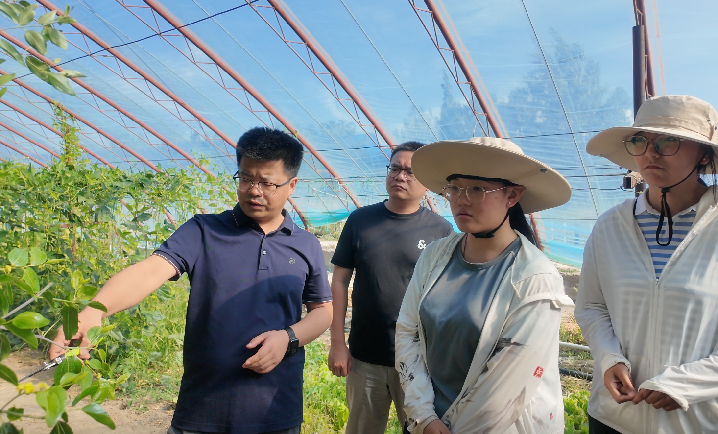 微信图片_20250712155531 微信图片_20250712155531