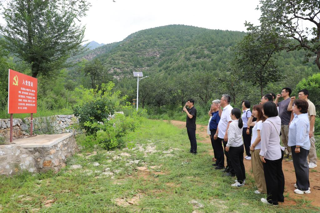 支部党员重温入党誓词