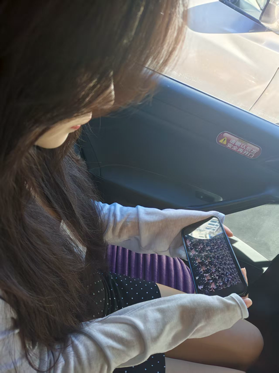 图片9