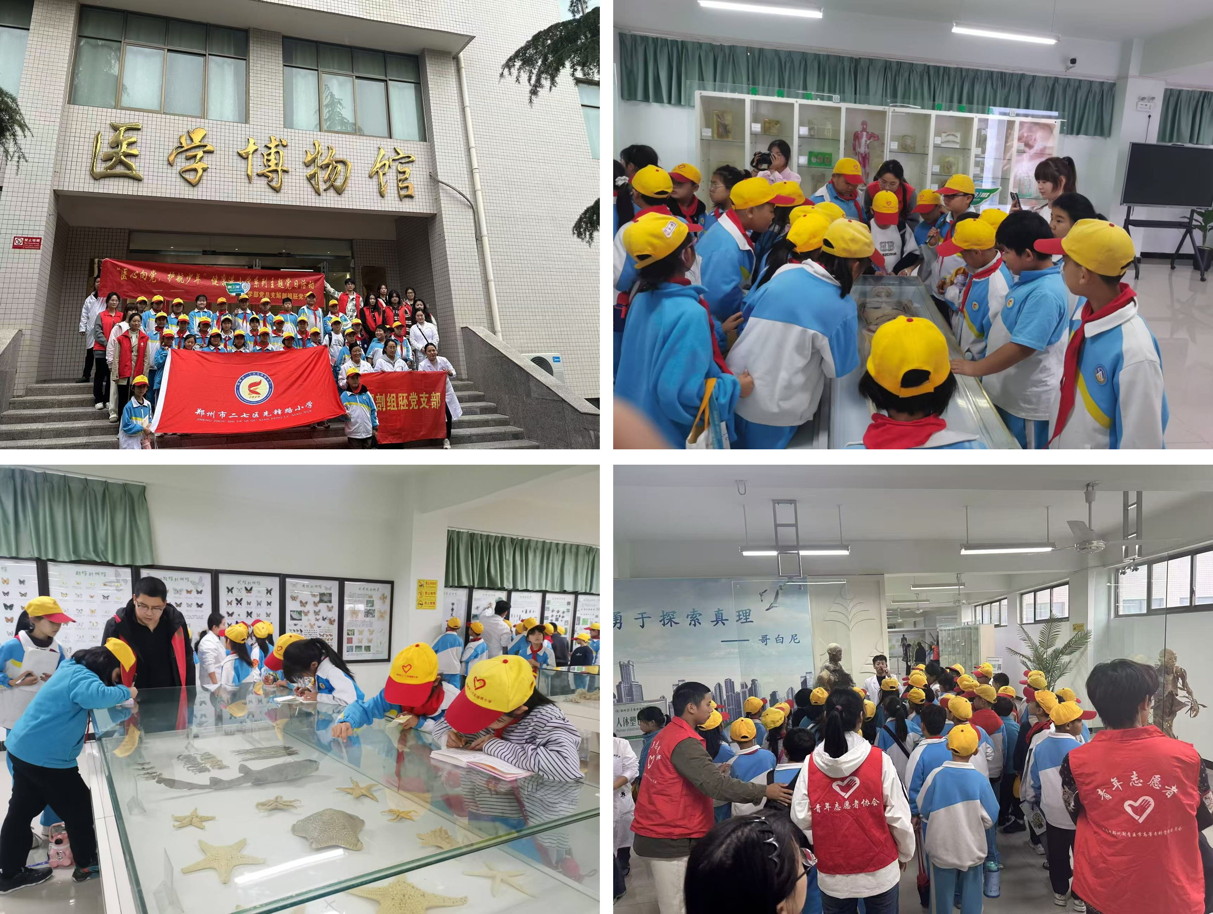 图片3