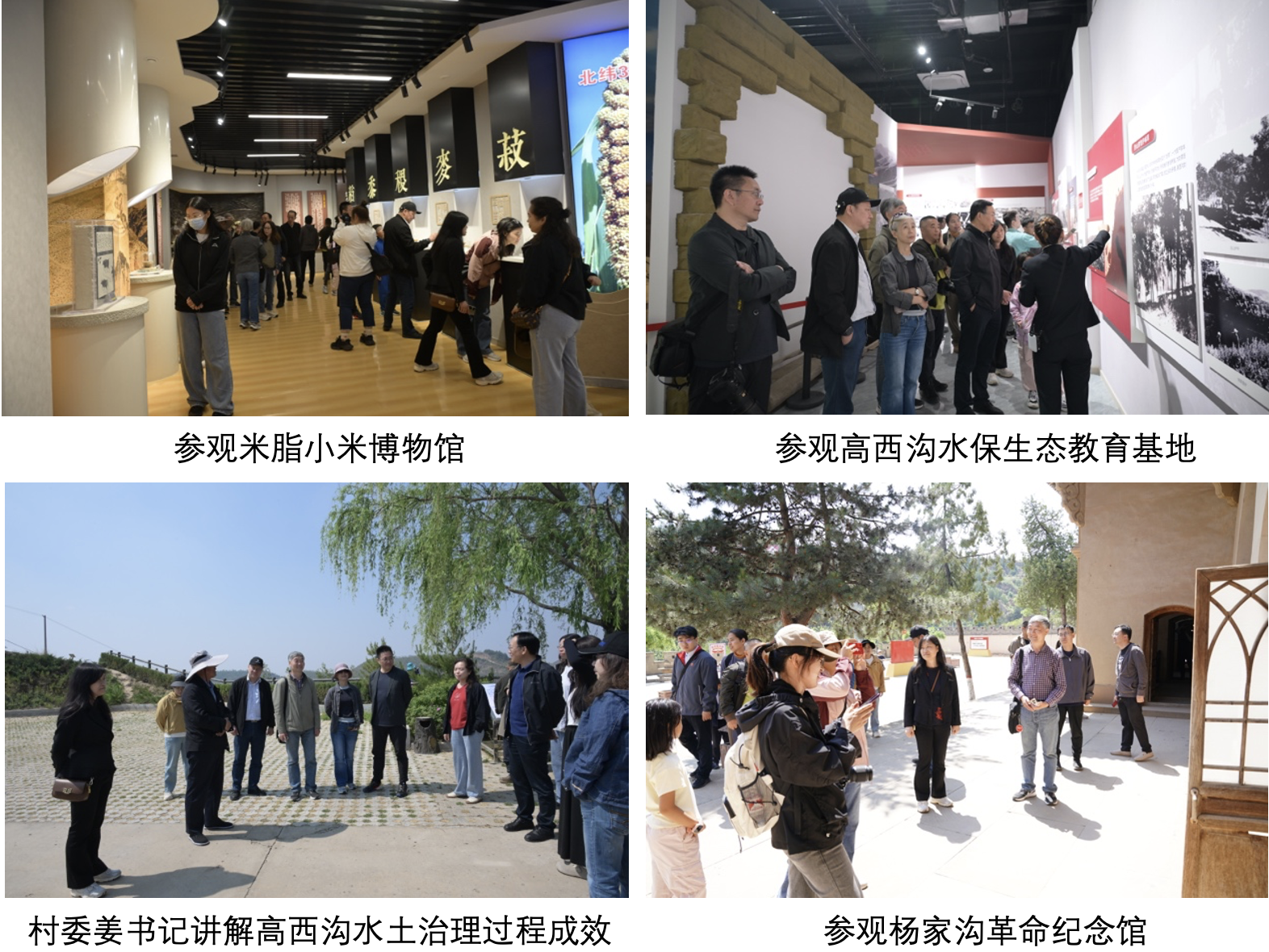 截屏2025-08-05 10.54.44