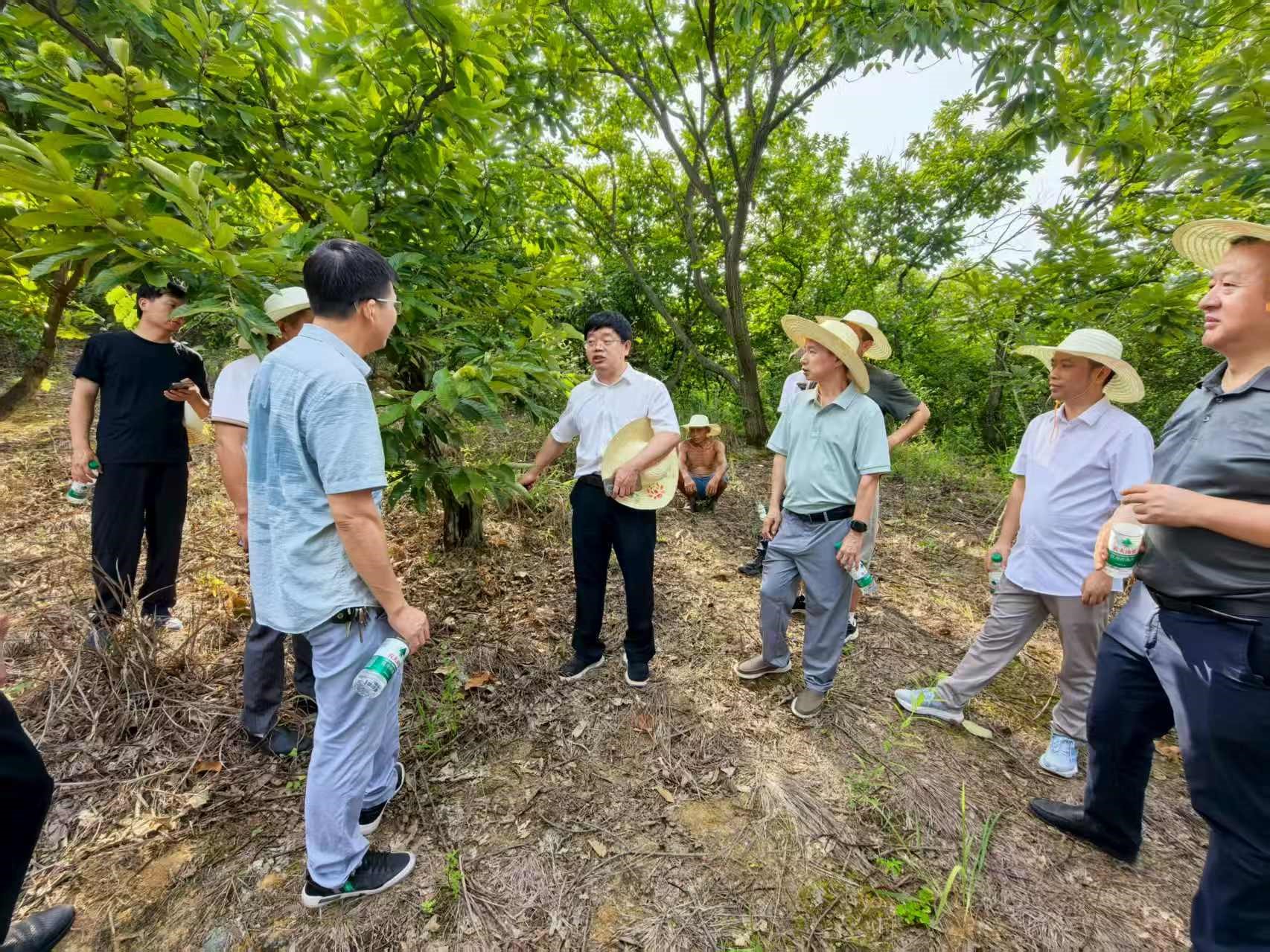 龙洪旭-1 龙洪旭-1