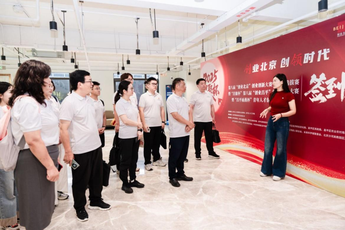 图片5