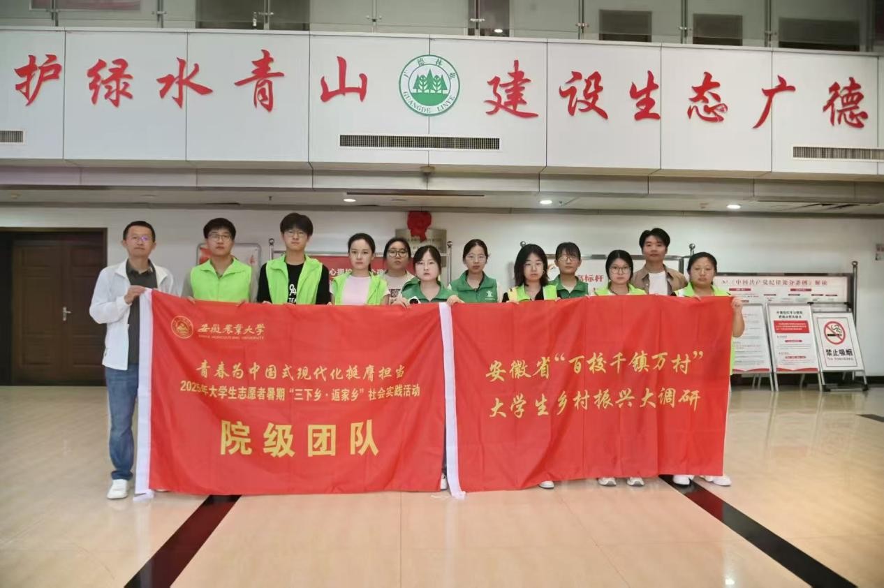 图片44