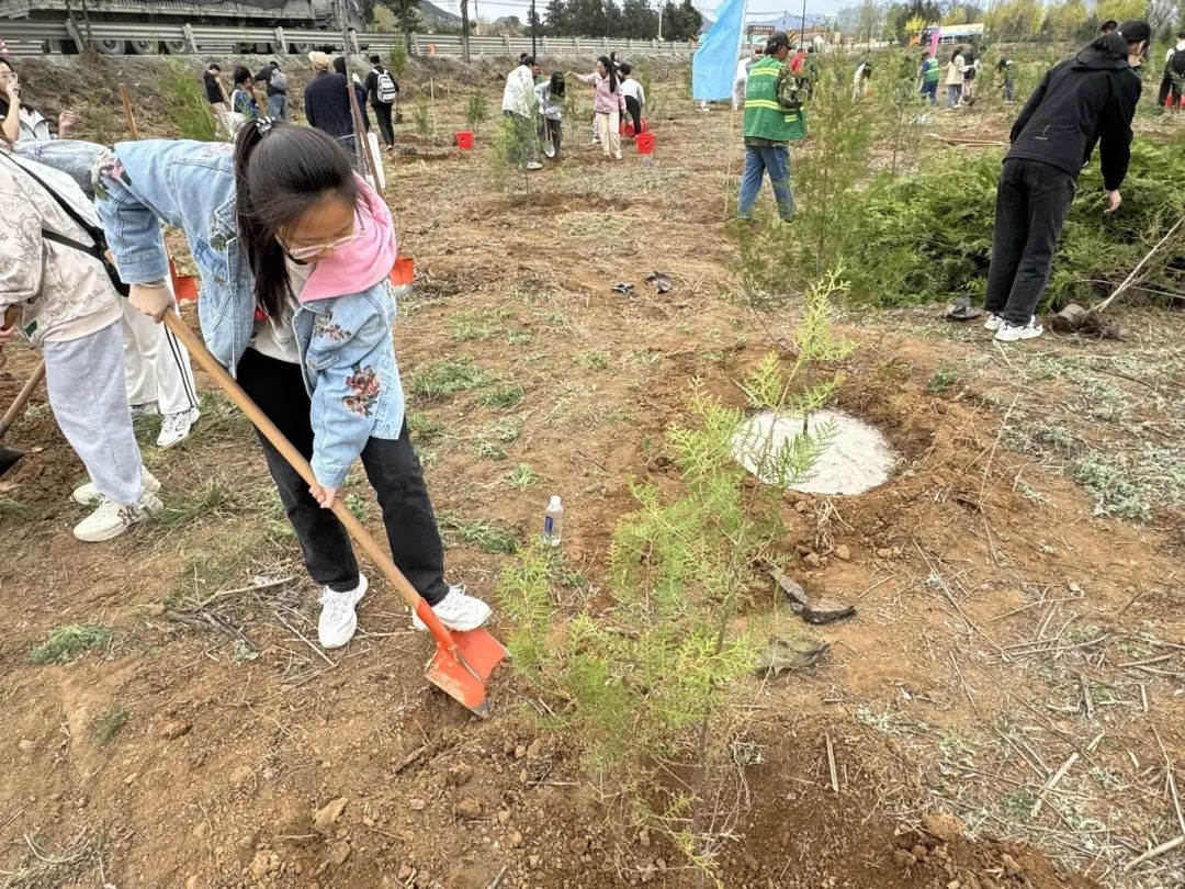 微信图片_20250809233708 微信图片_20250809233708
