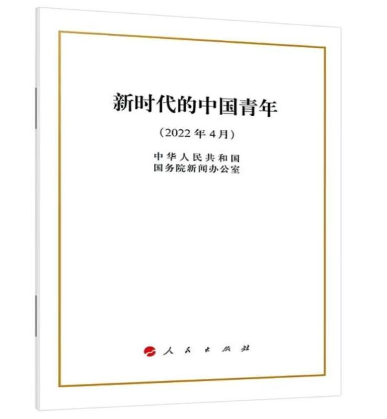 图片11