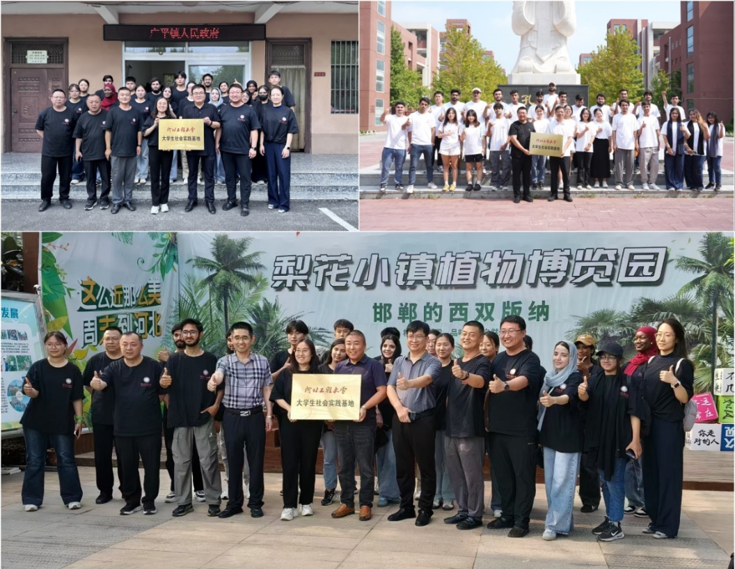 图片2a