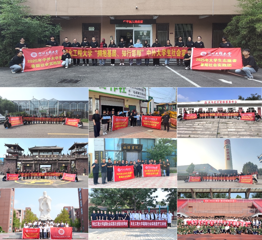 图片1a