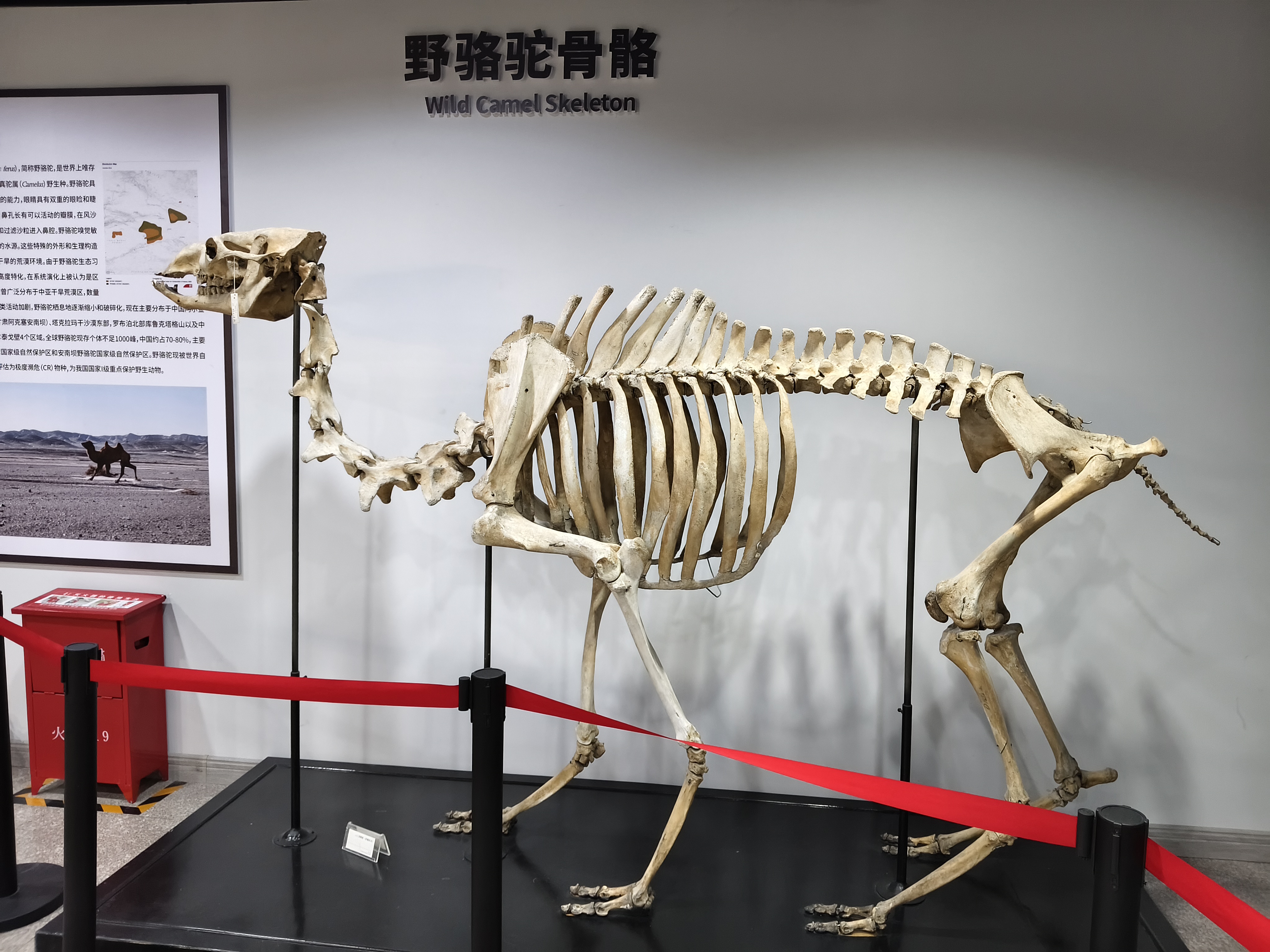 微信图片_20250807000142_585_110