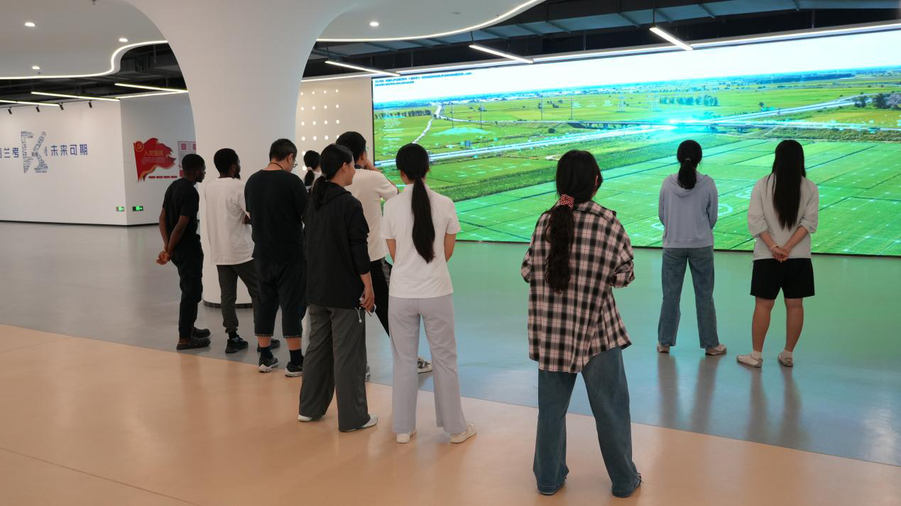 图片4