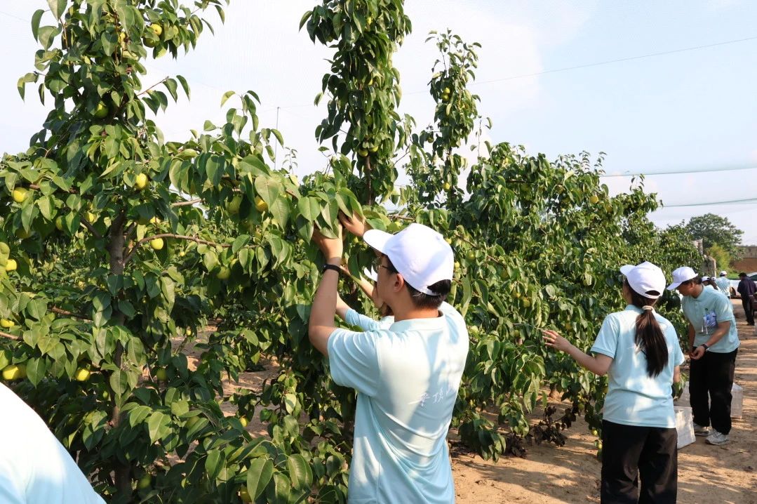 微信图片_20250824205546