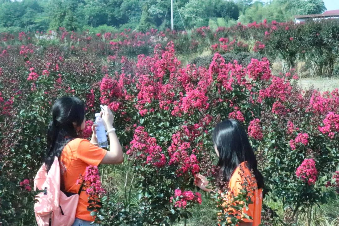 640 (1)
