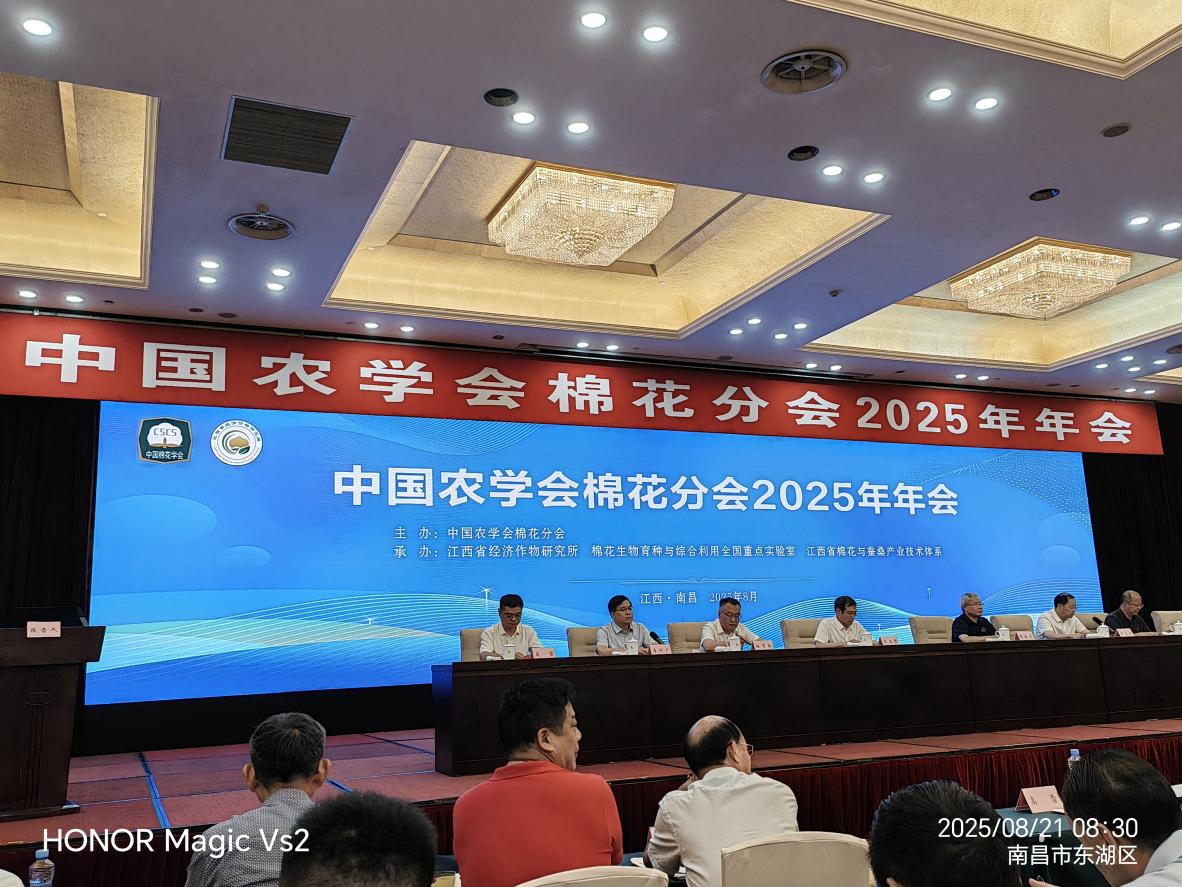 年会现场 年会现场