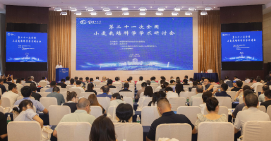 微信图片_20250826170130_35