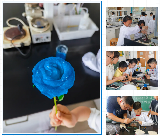 小朋友动手做实验 小朋友动手做实验