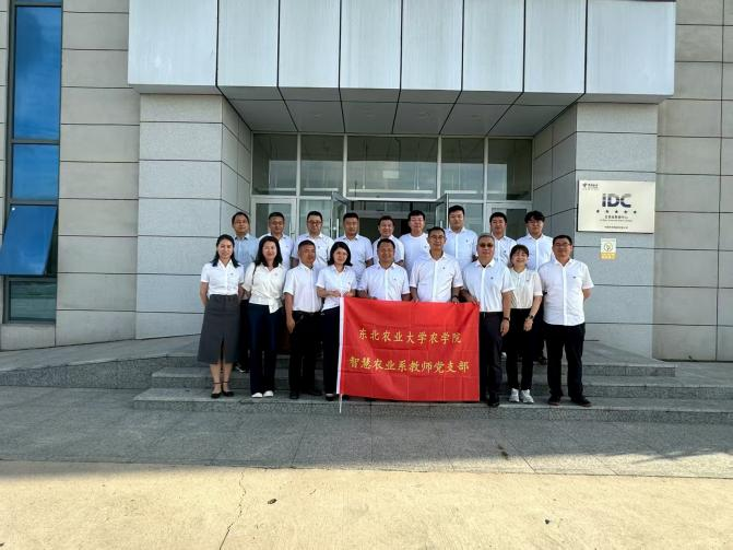 图片5