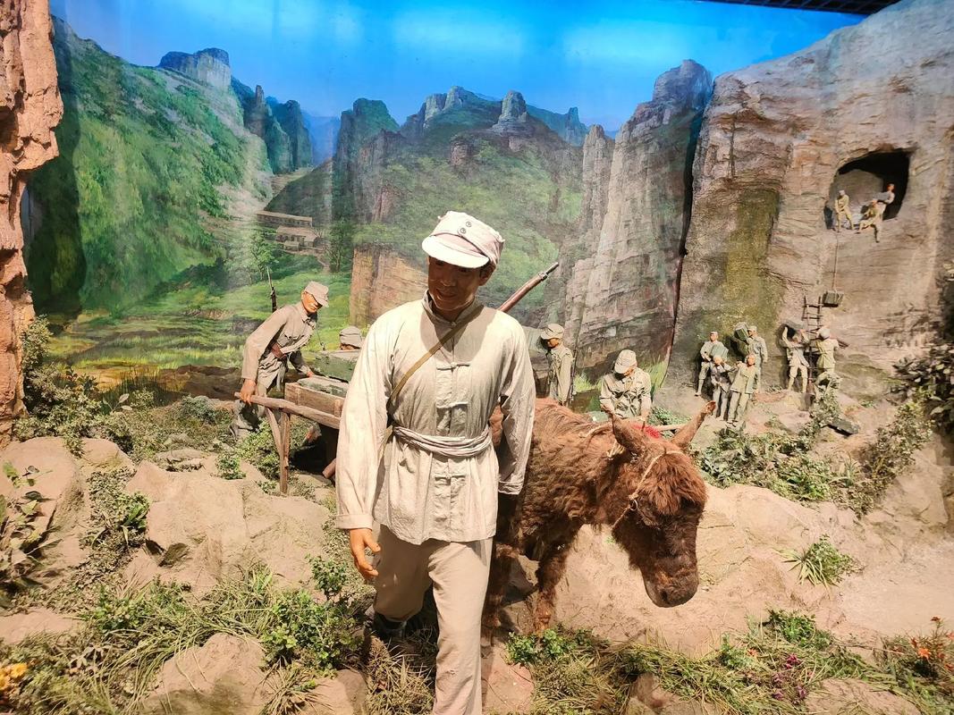 微信图片_20250725133353