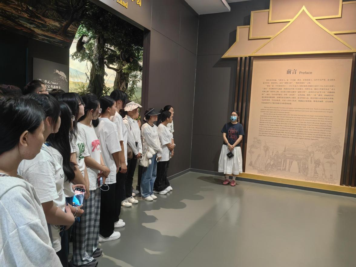 图片11