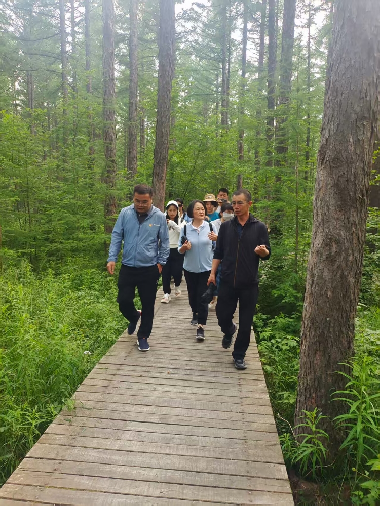 参观塞罕坝 参观塞罕坝