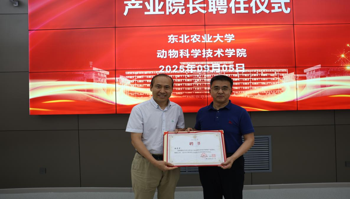 9.5图片3