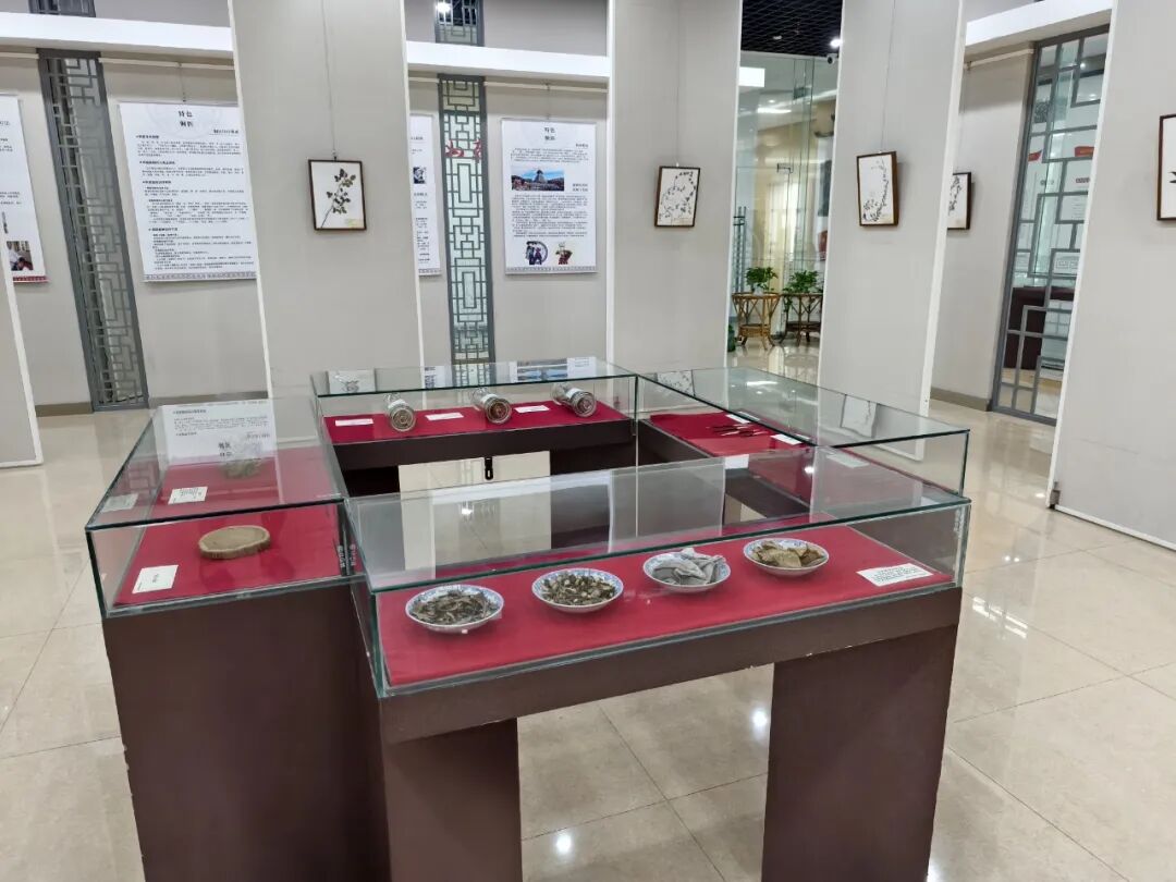 微信图片_2025-09-12_093815_123