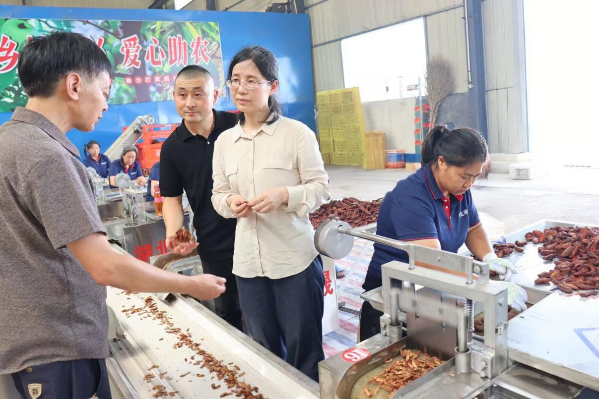 202508药剂系515行动长阳2