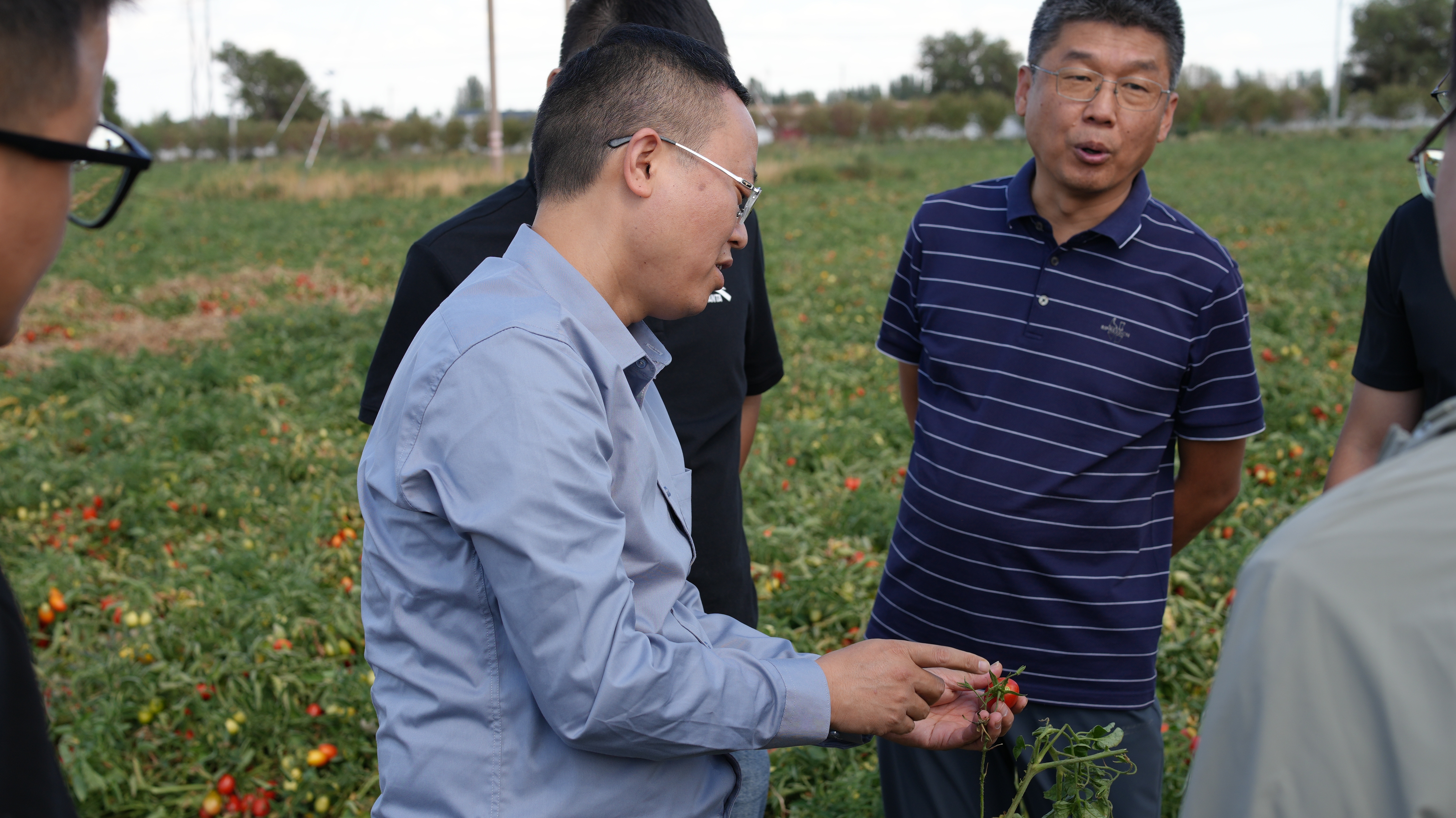 DSC05067(1) DSC05067(1)