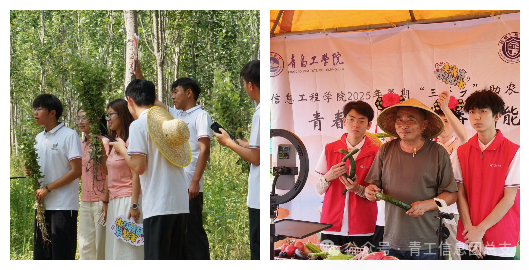 微信图片_2025-09-15_085118_723