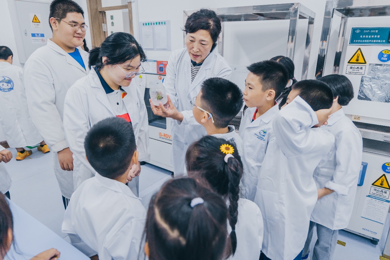 4-组培技术演示