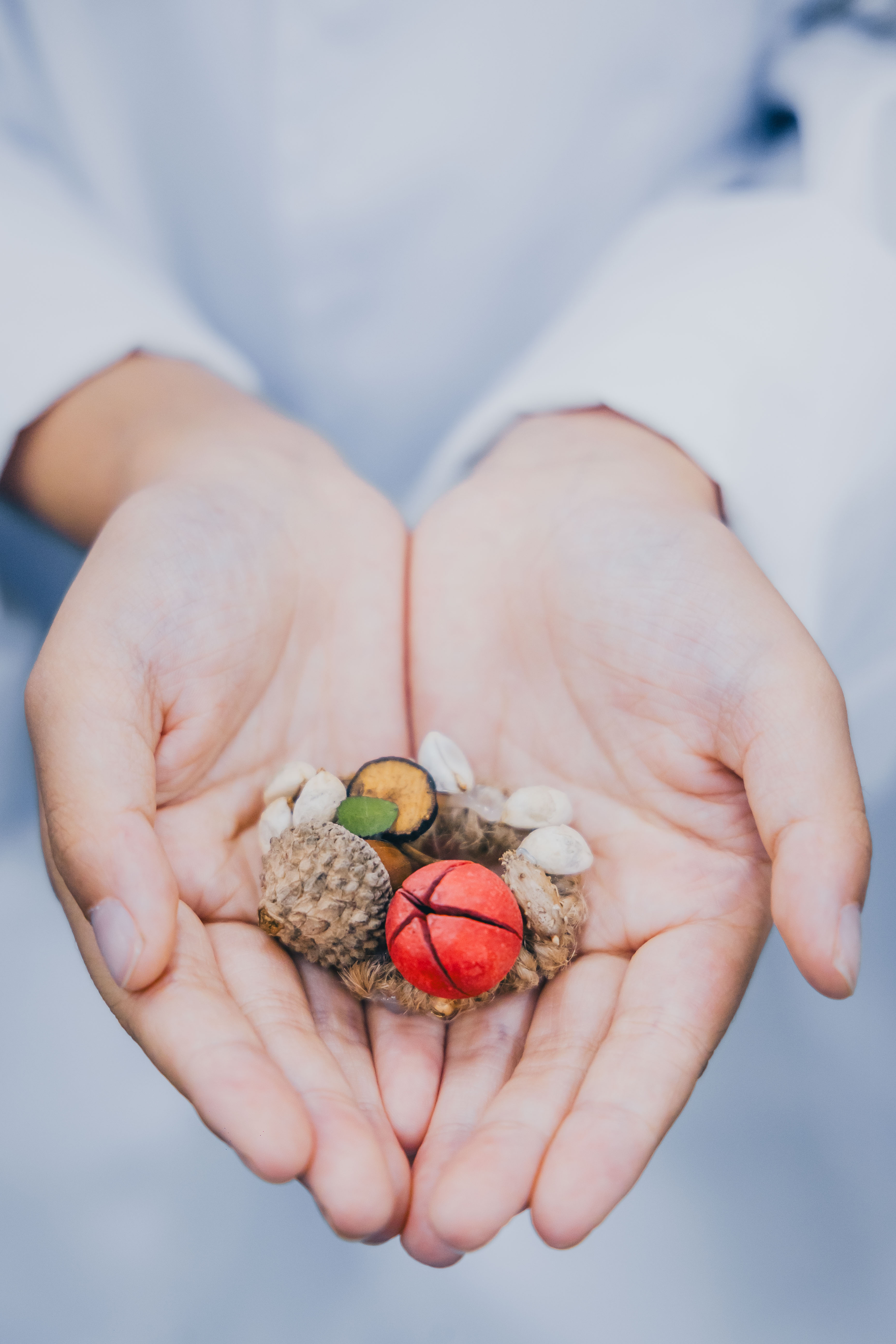 微信图片_20250912224220_187_2