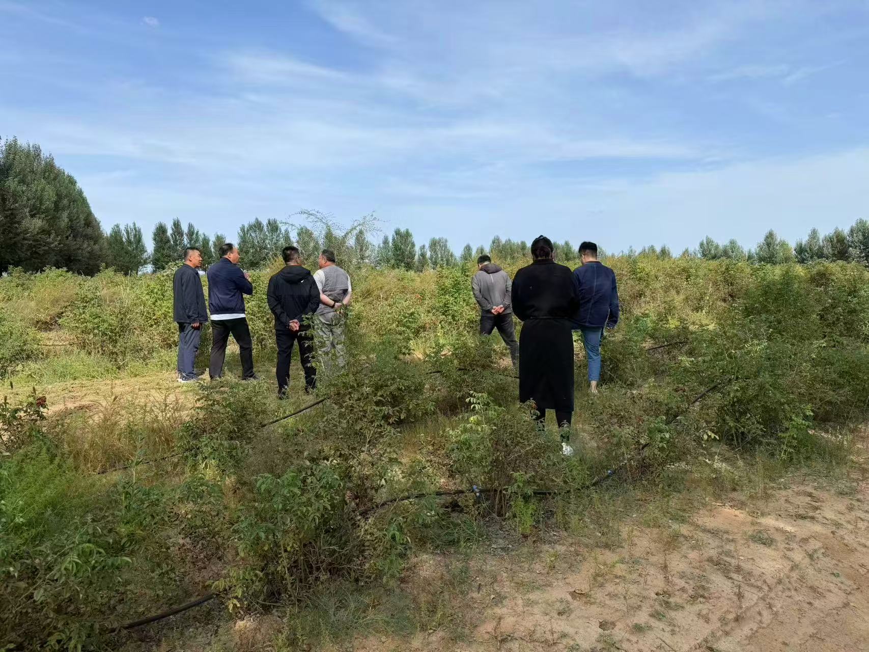 微信图片_20250918214707 微信图片_20250918214707