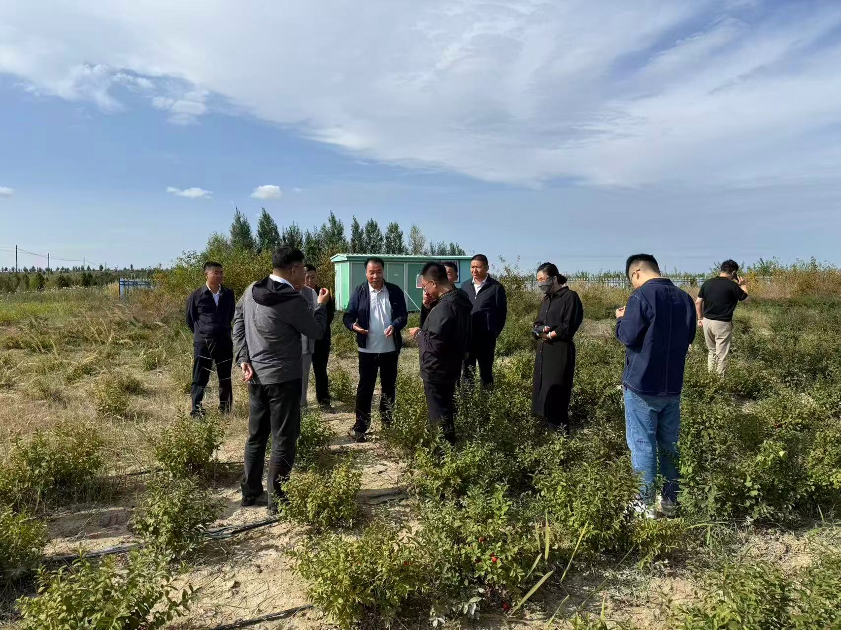 微信图片_20250918214705 微信图片_20250918214705