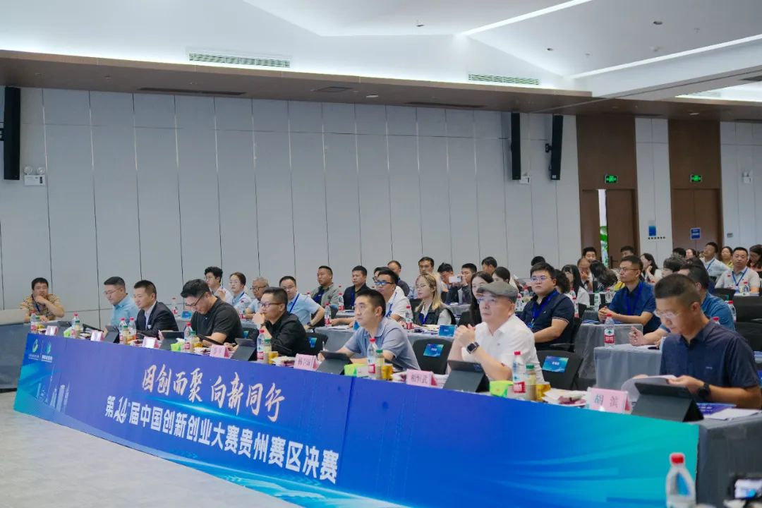 图片4