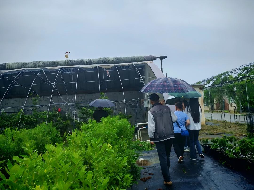 WPS图片4 WPS图片4