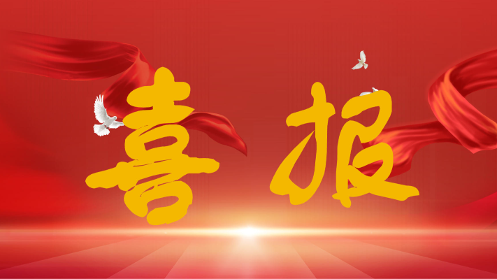 砥砺奋进结硕果 踔厉奋发谱新篇——我院2025届毕业生专升本考试再创佳绩