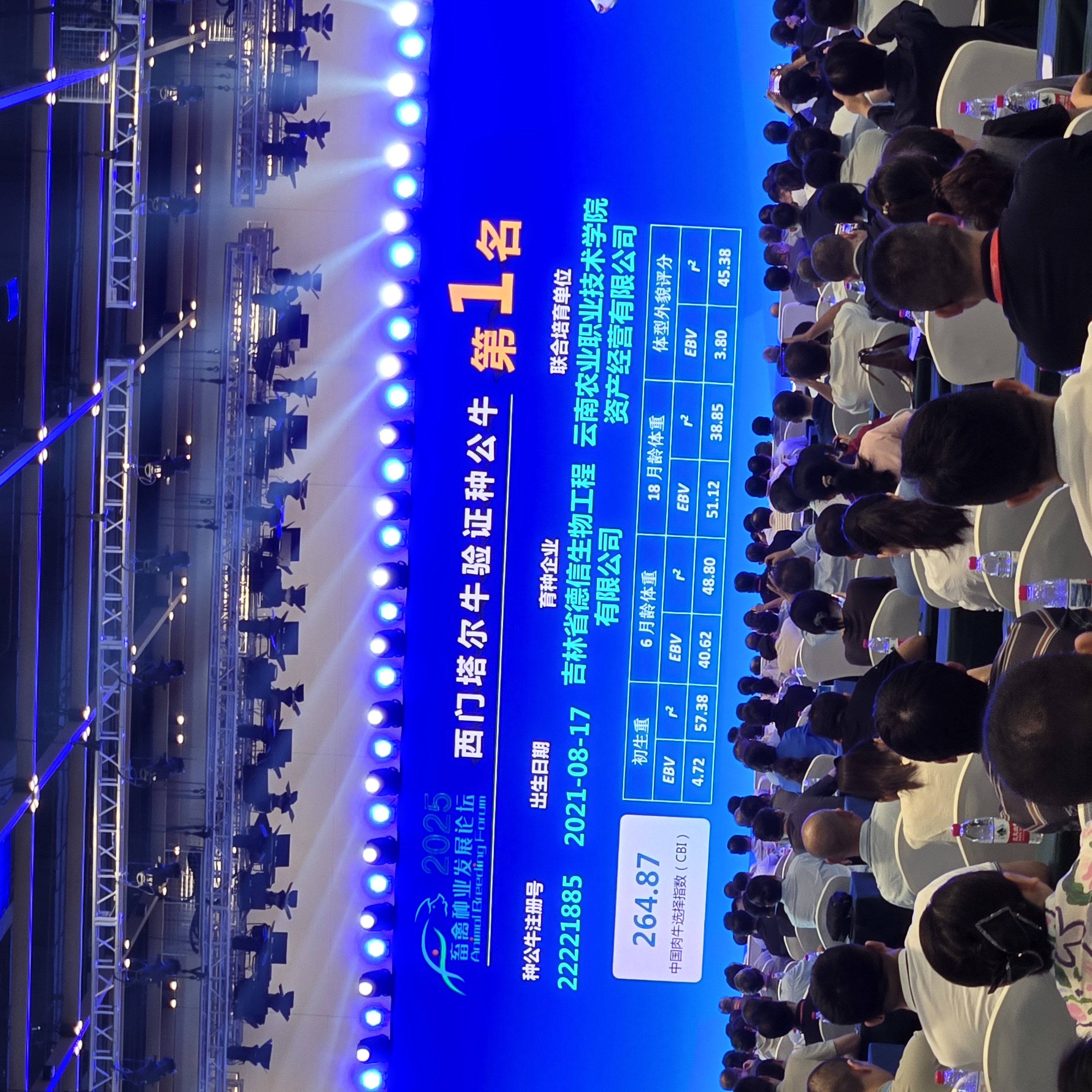 西门塔尔牛选择指数（CBI）第1名