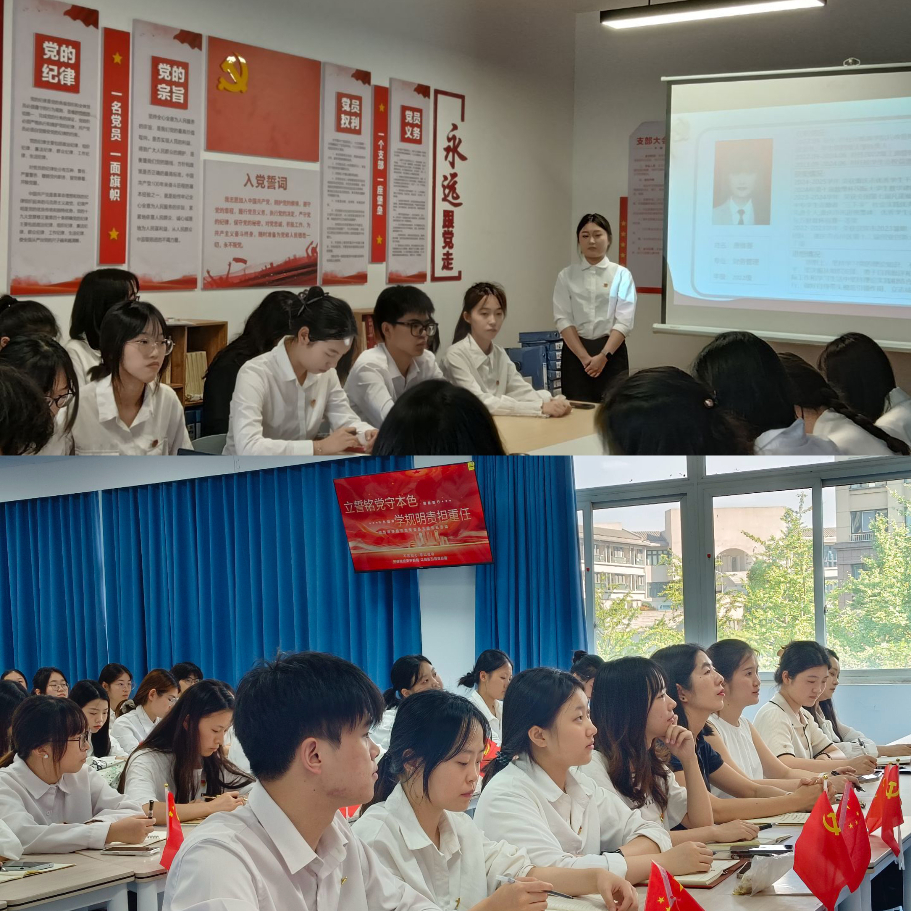 图片六